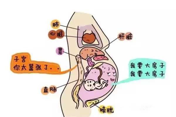 北京试管咨询(好难抉择怎么办？)